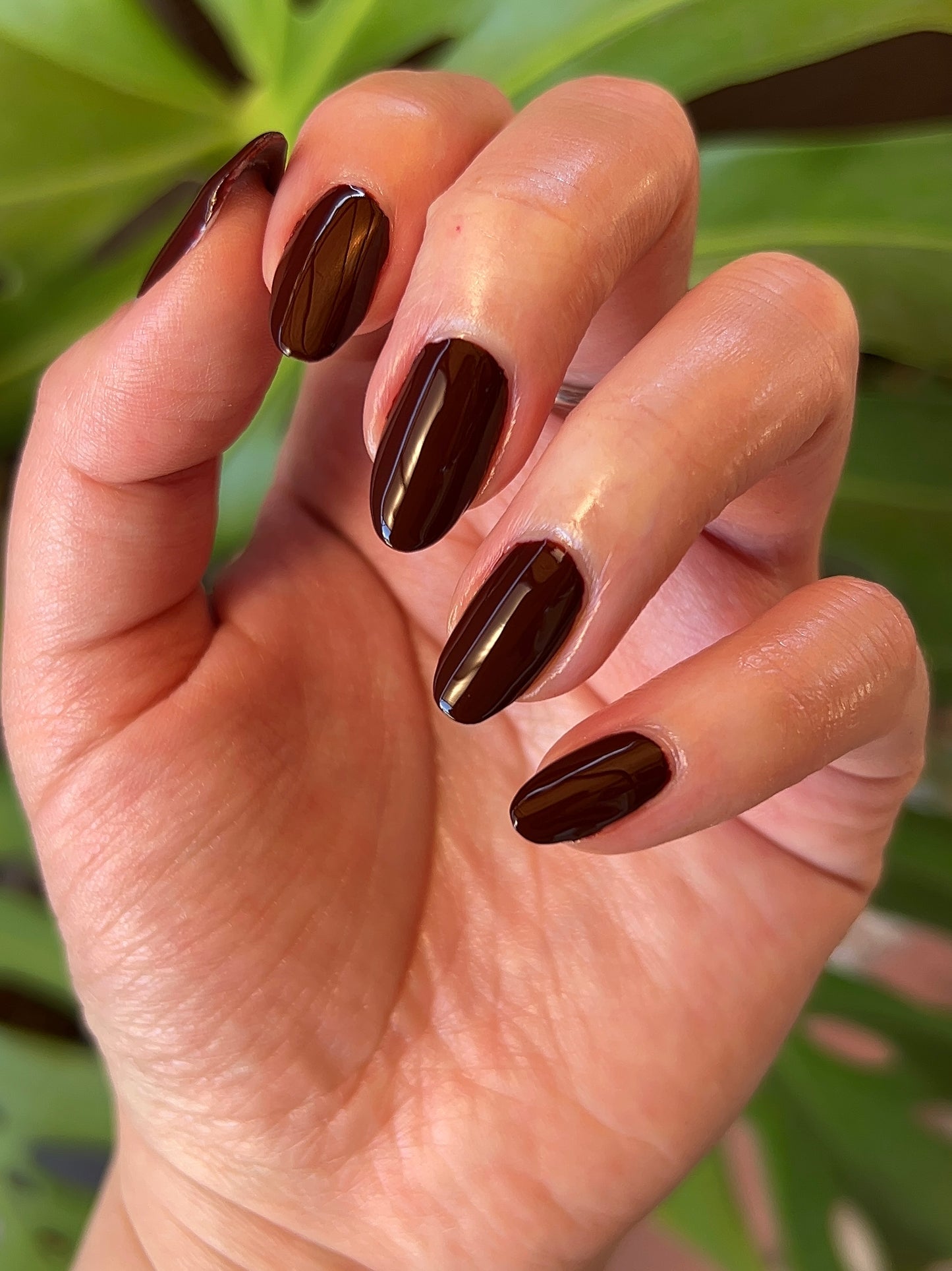 Buttoned Brown