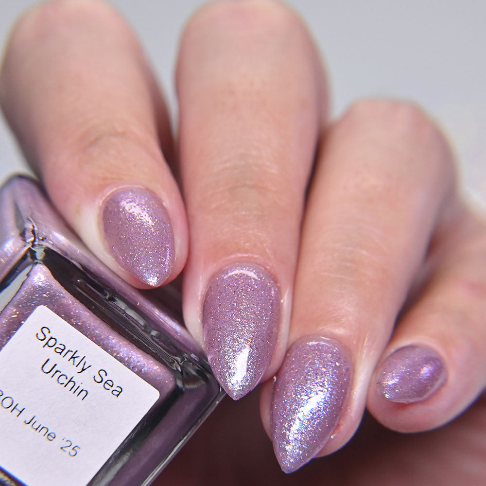 Sparkly Sea Urchin LBOH