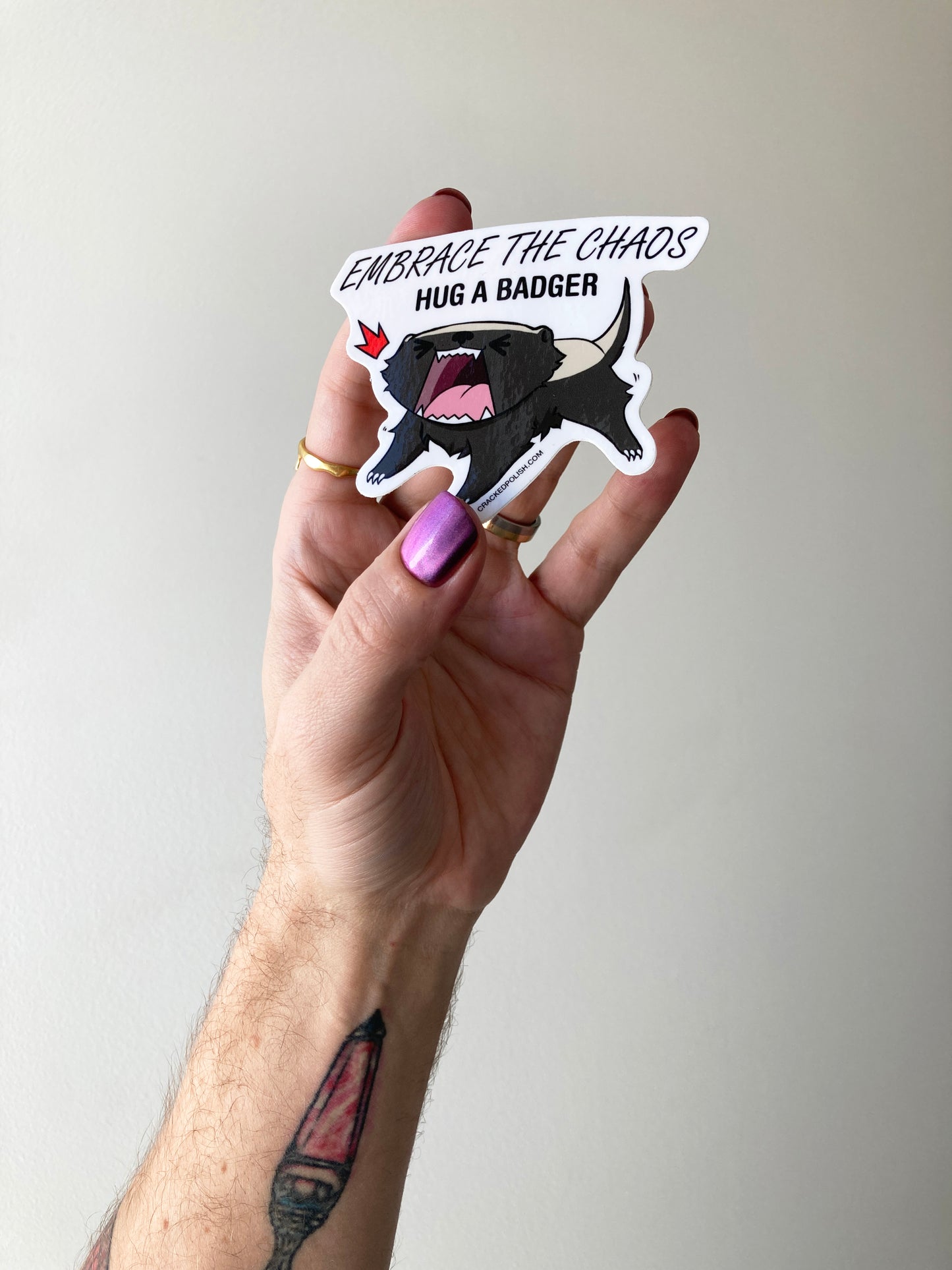 Embrace Chaos Sticker
