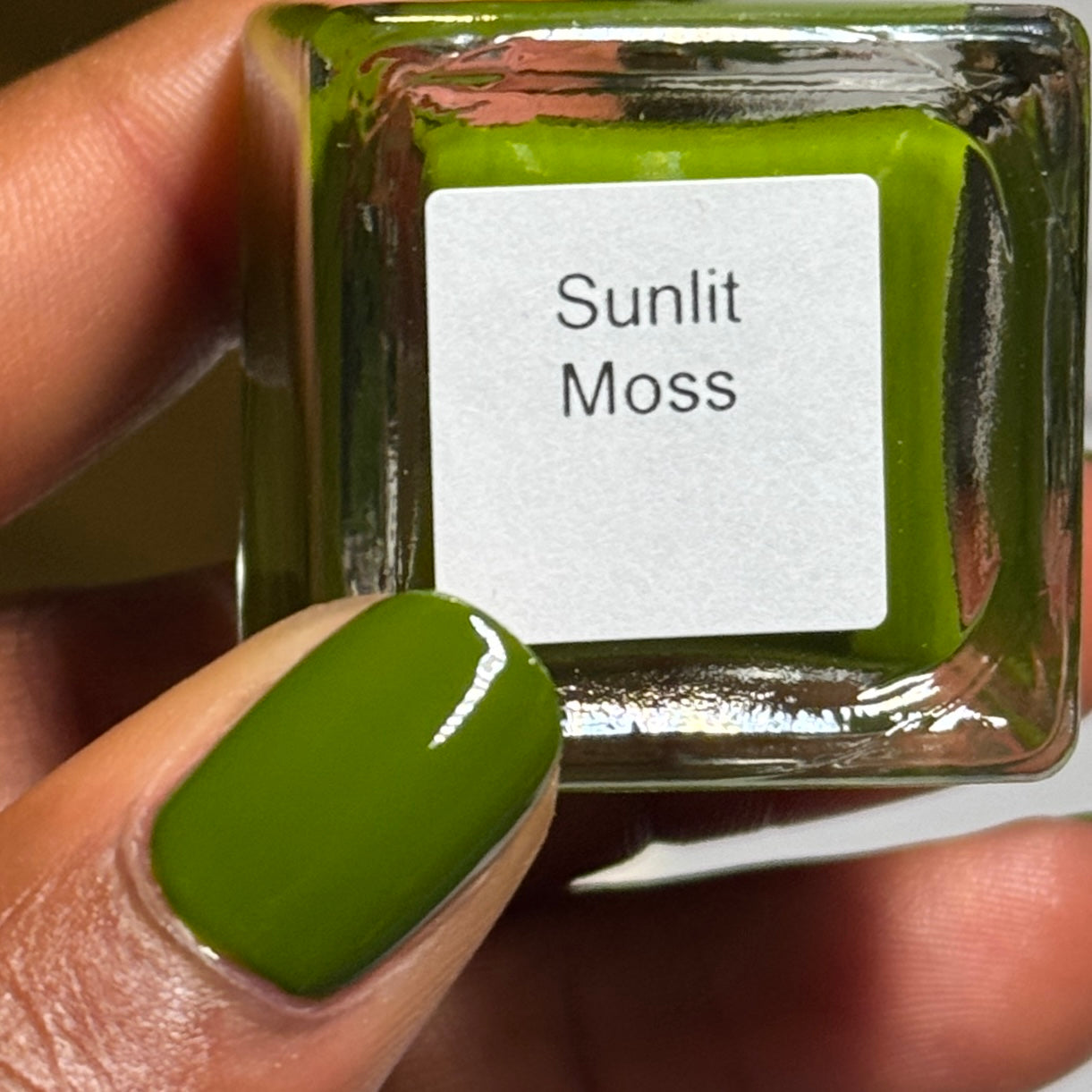 Sunlit Moss