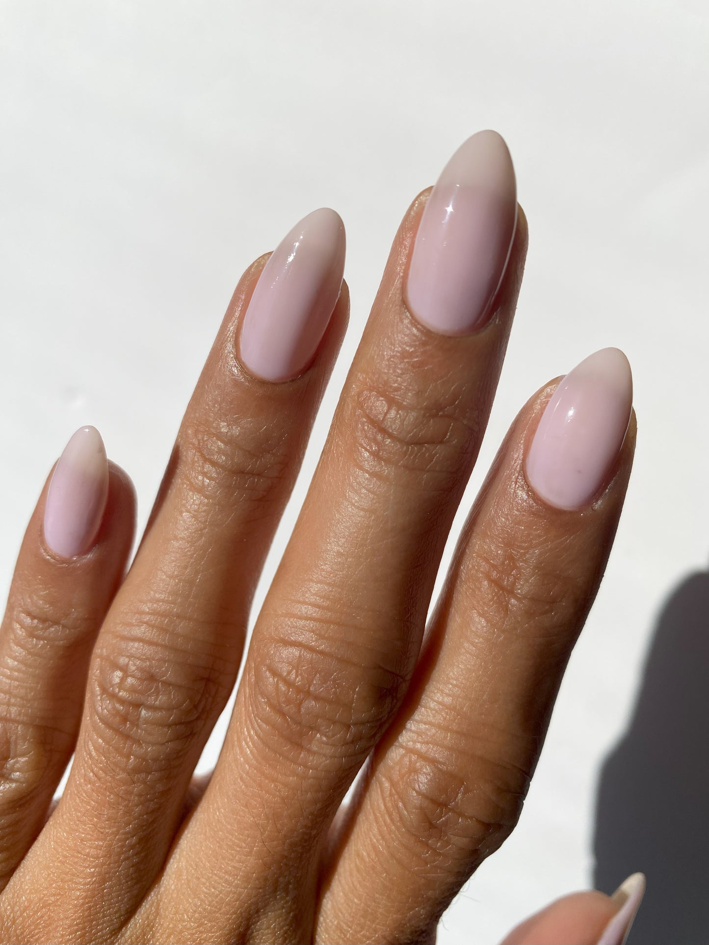 Neutralizer