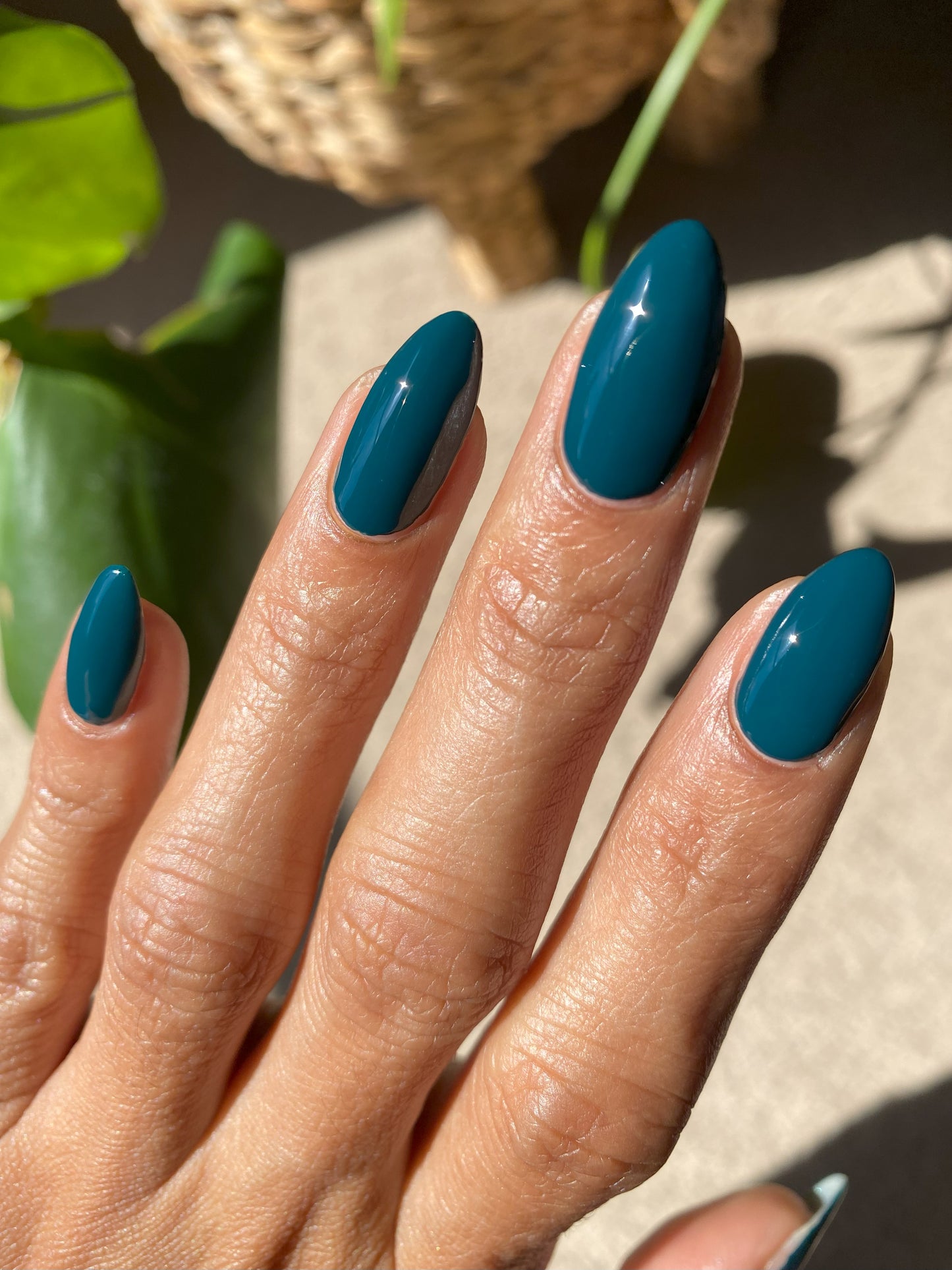 Teal Dark And Handsome