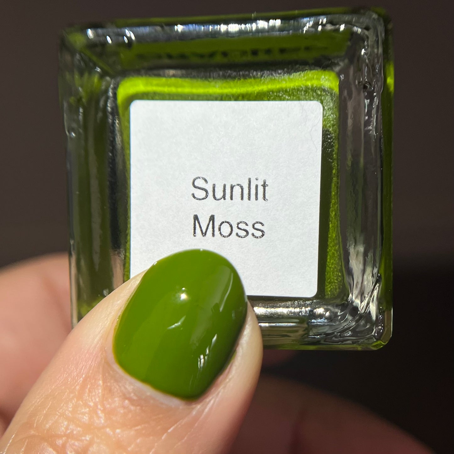 Sunlit Moss