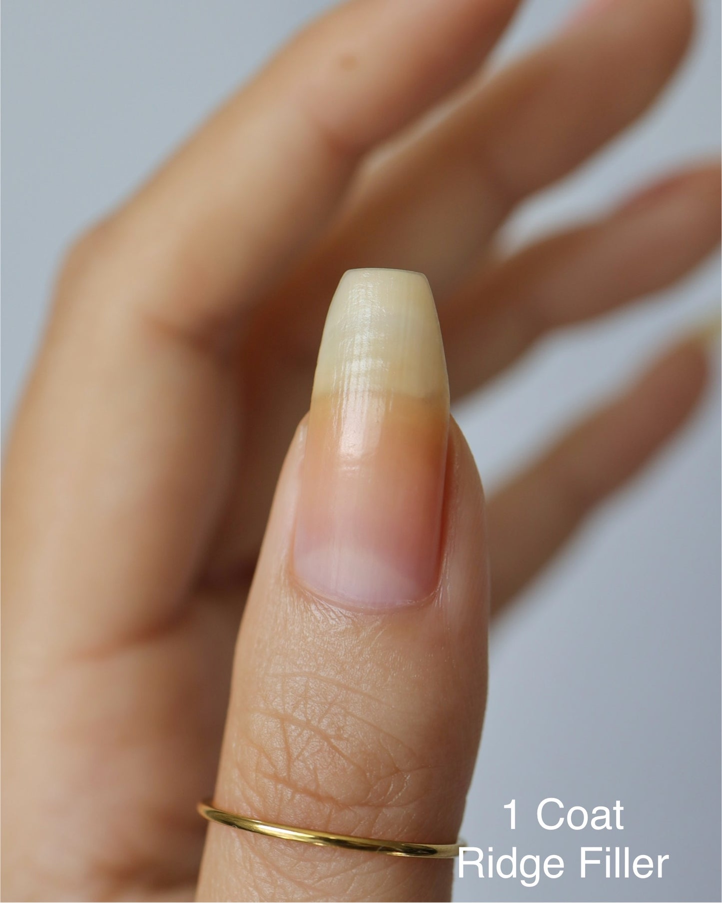 Ridge Filler