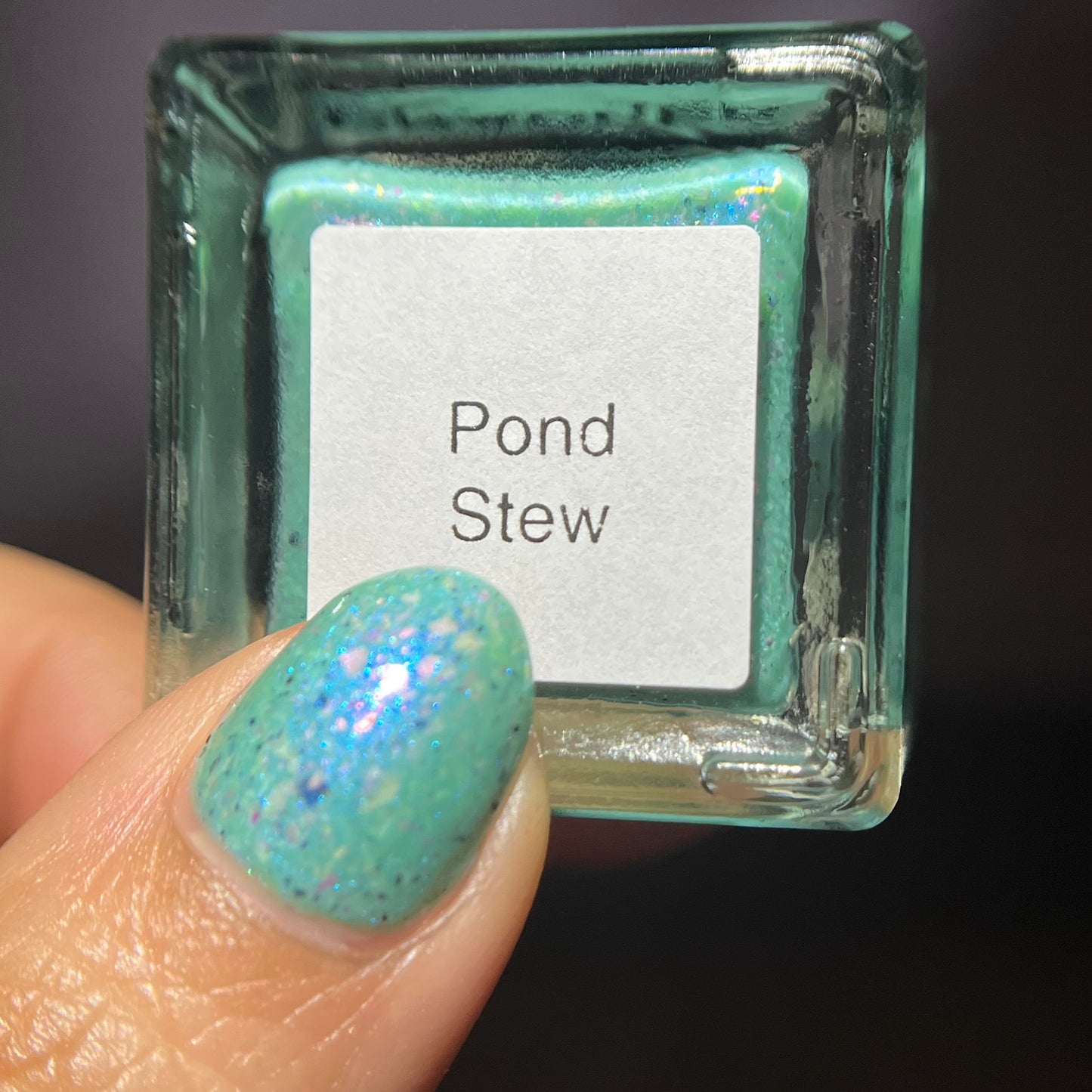 Pond Stew