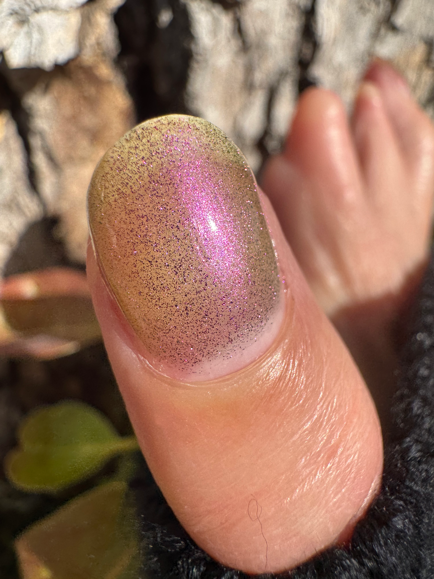 Petals On The Surface