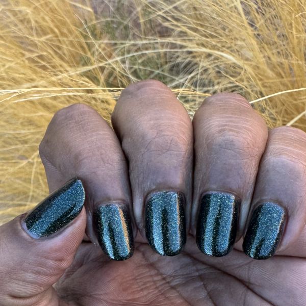 Christmas Pickle - Cracked Polish