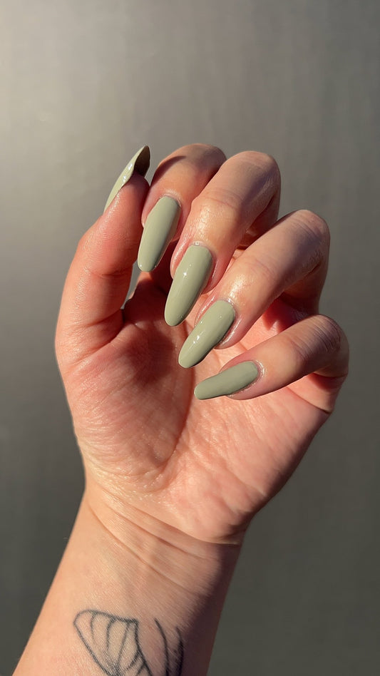 Dappled Willow - Cracked Polish