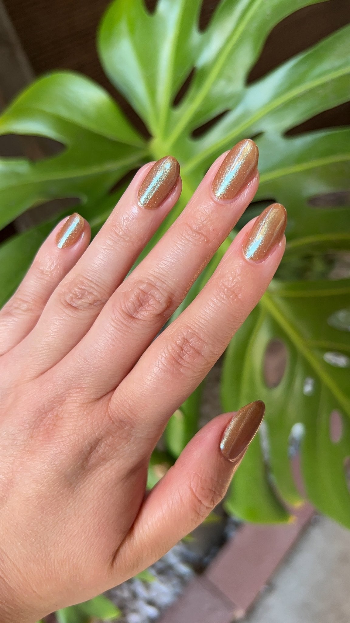 Gloomy Shroomie - Cracked Polish