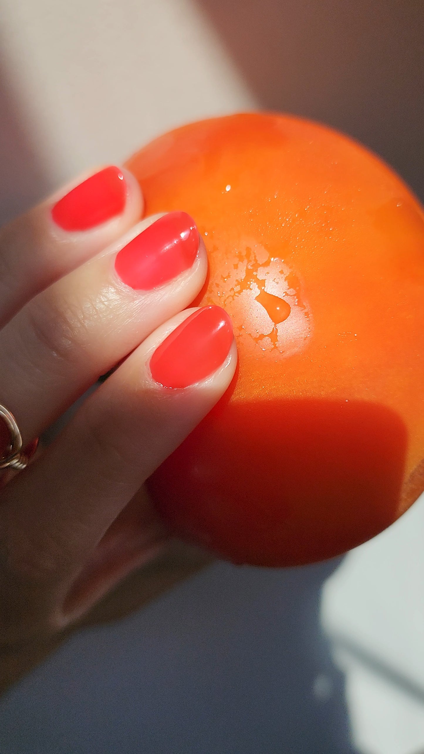 Tomato Tomahto