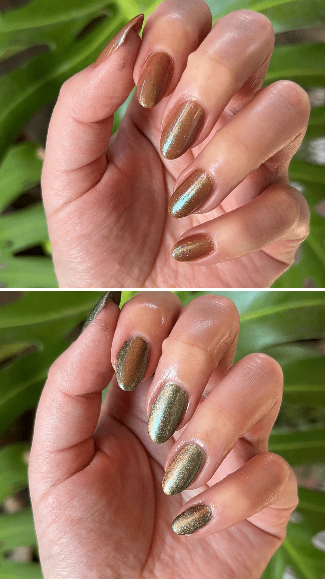Magic Mushroom - Cracked Polish