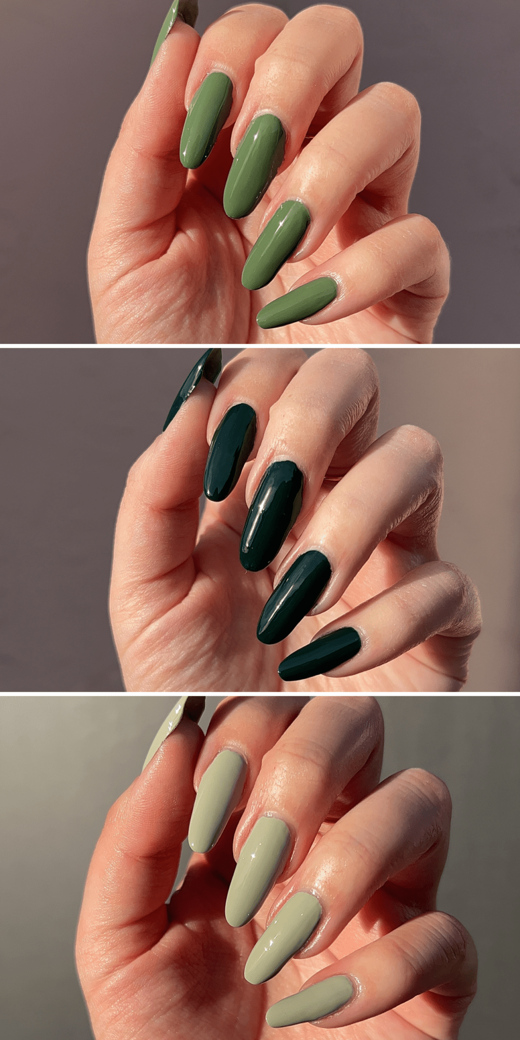 Plant - Cracked Polish