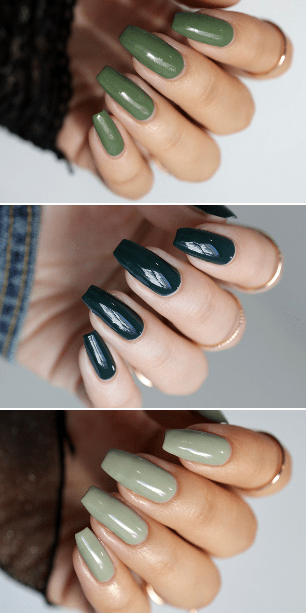 Plant - Cracked Polish