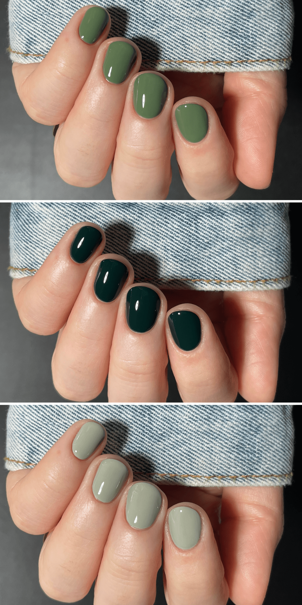 Plant - Cracked Polish