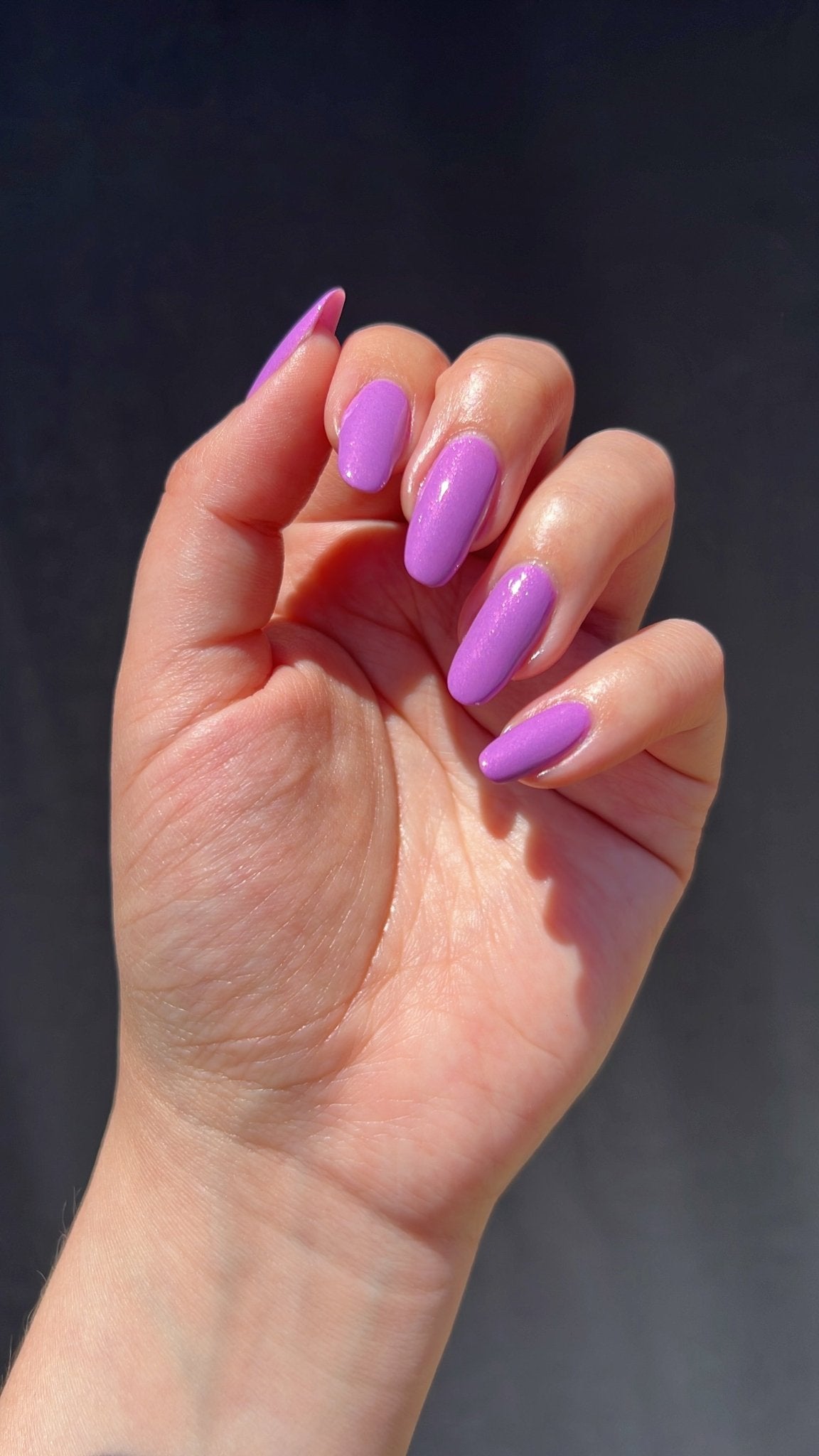 Purple Beardtongue - Cracked Polish