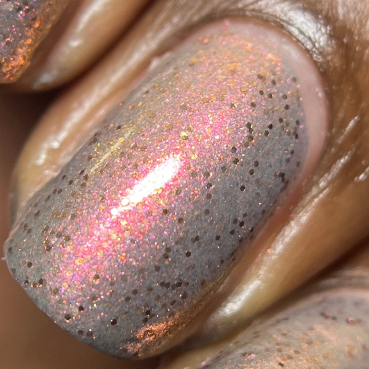 Shanks - Cracked Polish