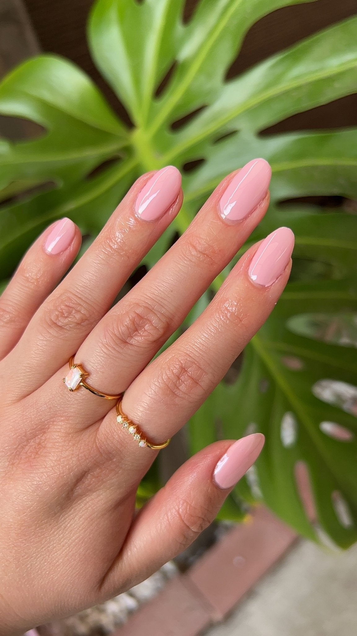 She Doesn't Even Go Here - Cracked Polish