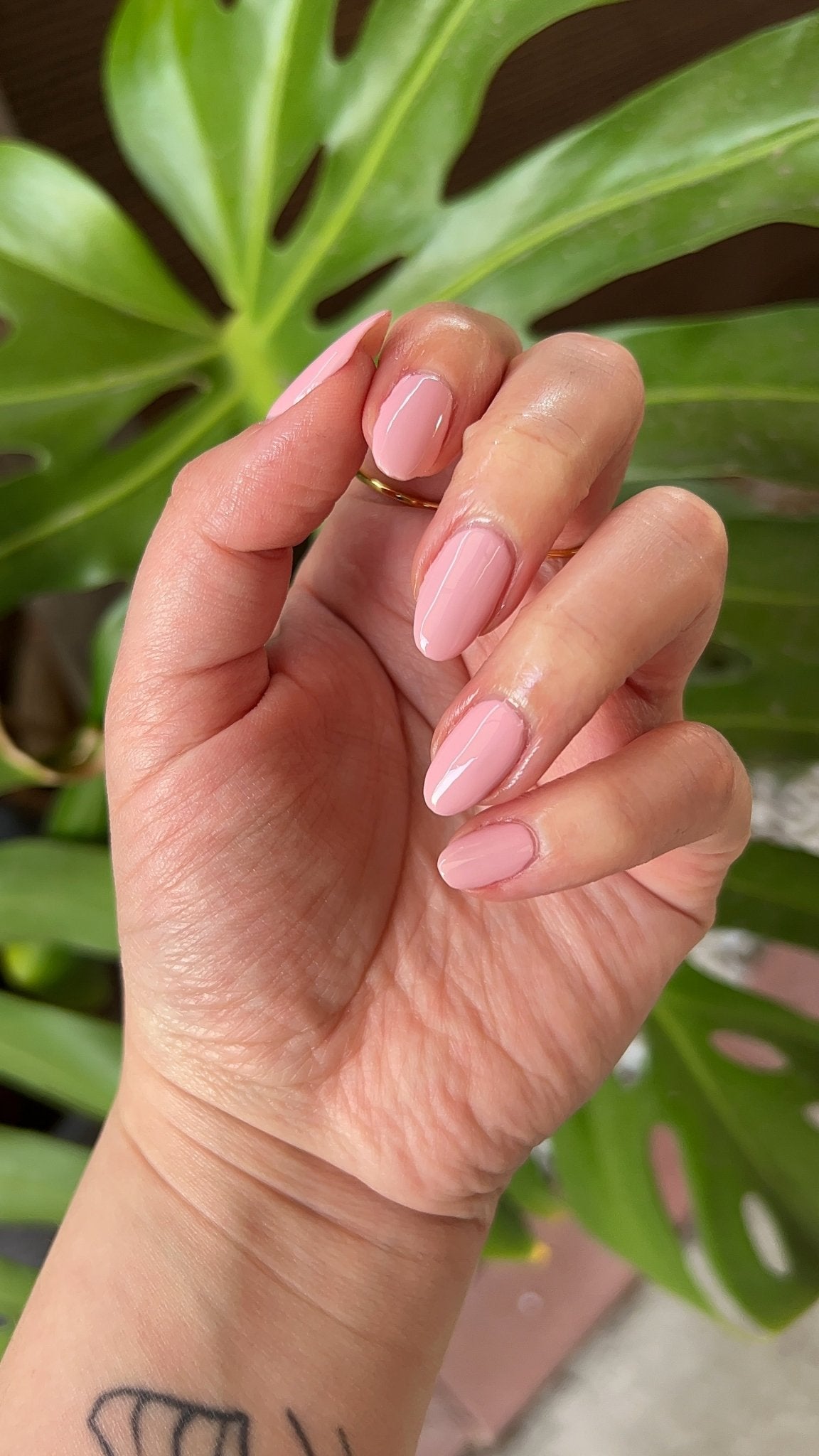 She Doesn't Even Go Here - Cracked Polish