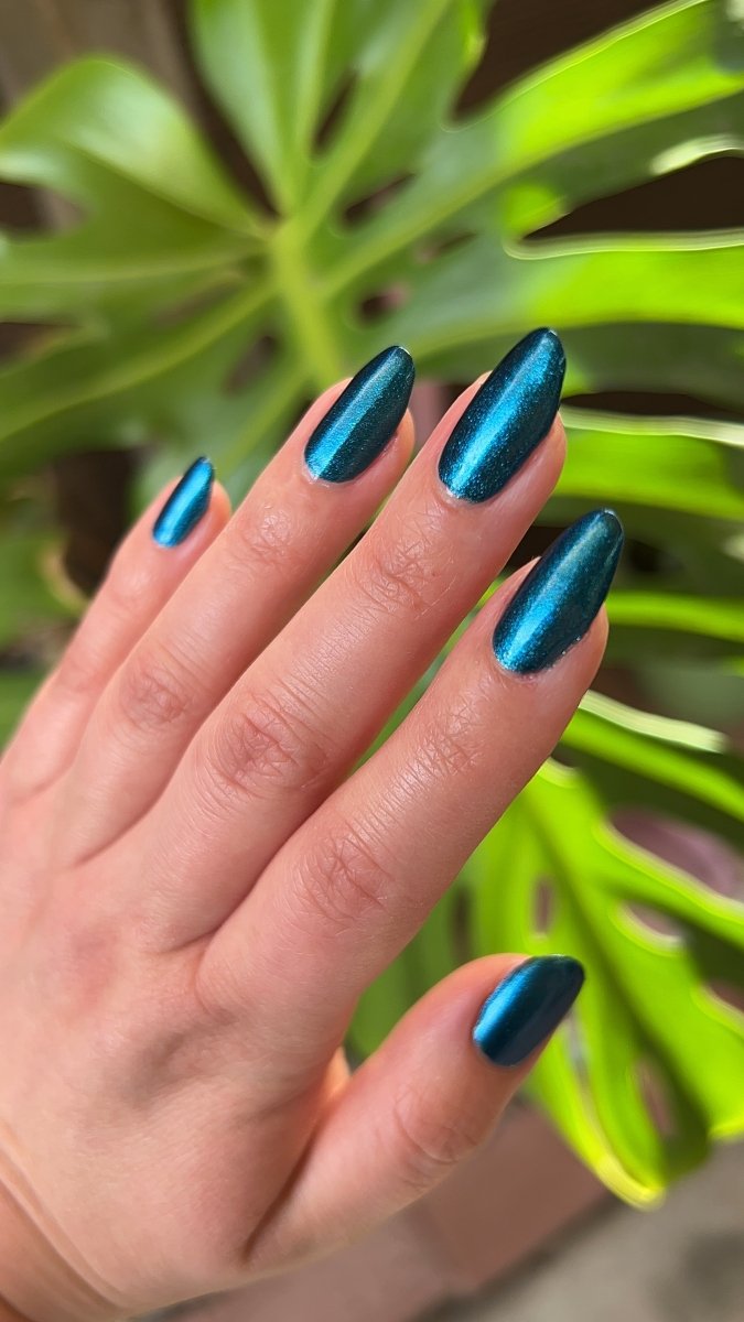 Shut The Front Door - Cracked Polish
