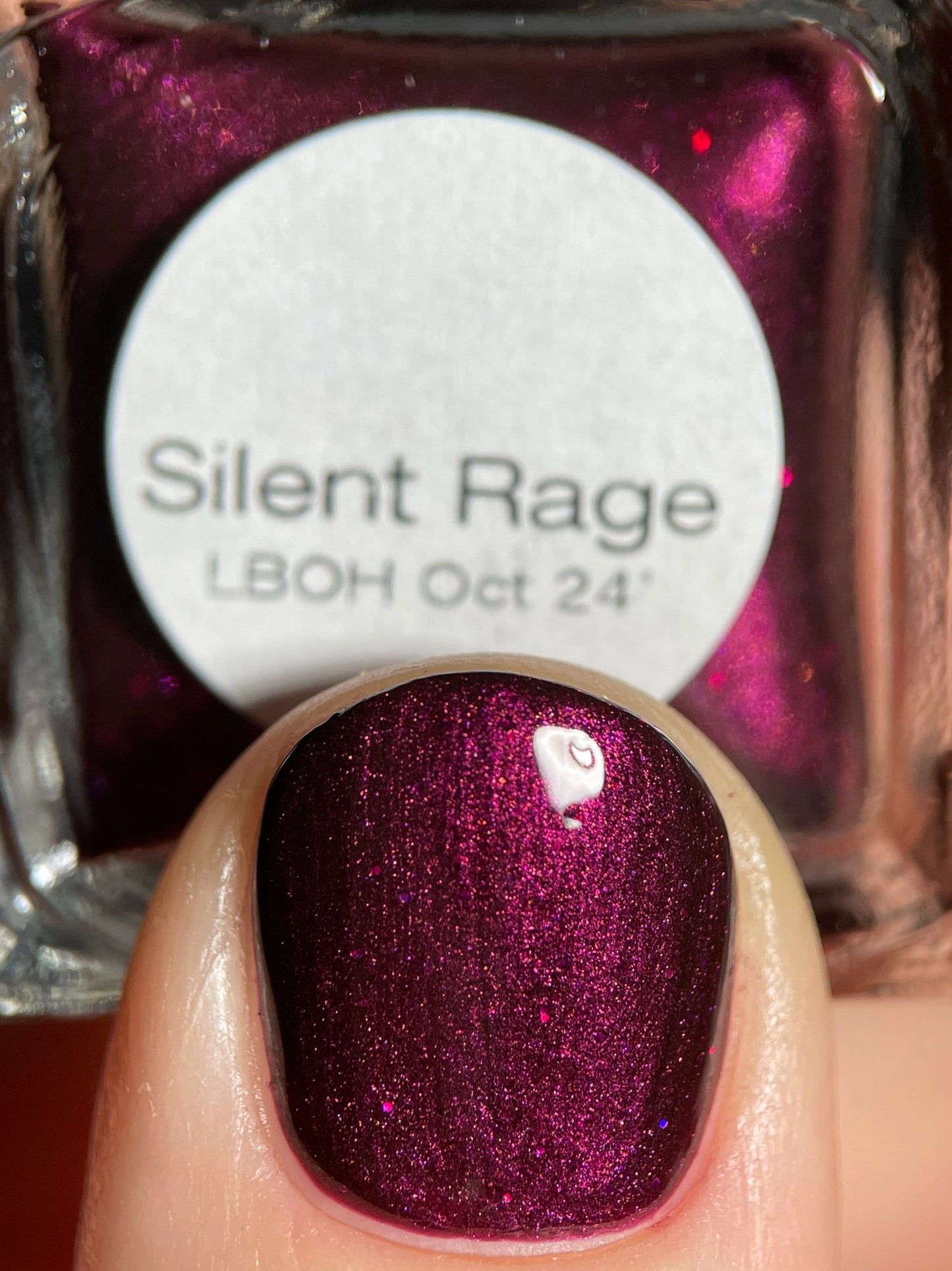 Silent Rage LBOH - Cracked Polish