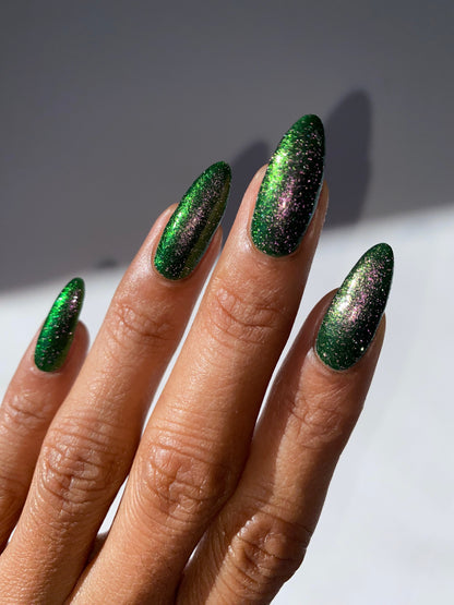 Past, Present, Future LBOH