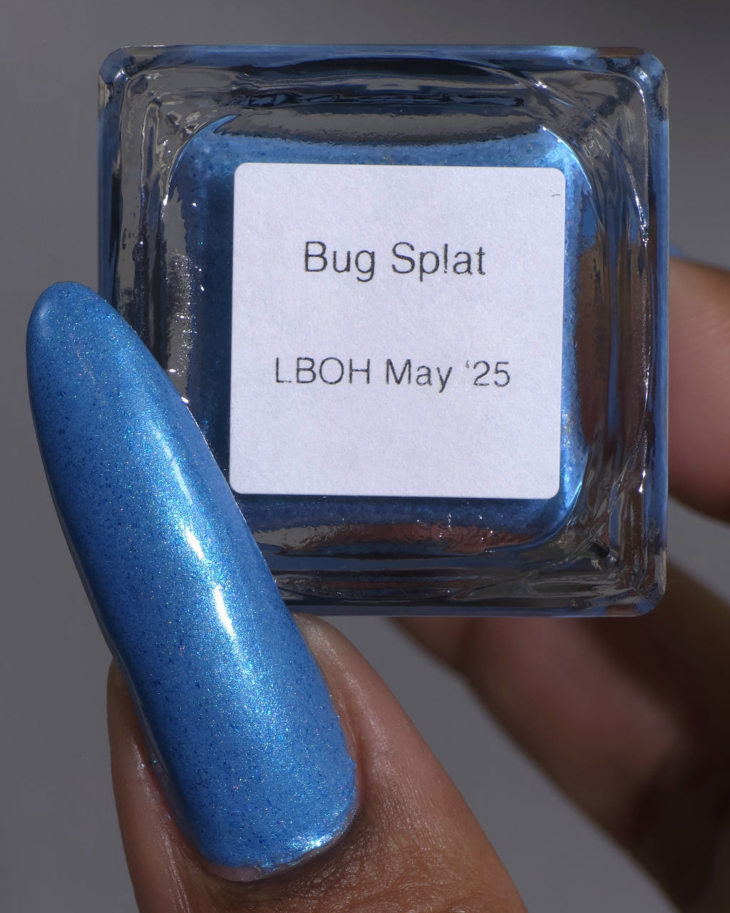 Bug Splat LBOH