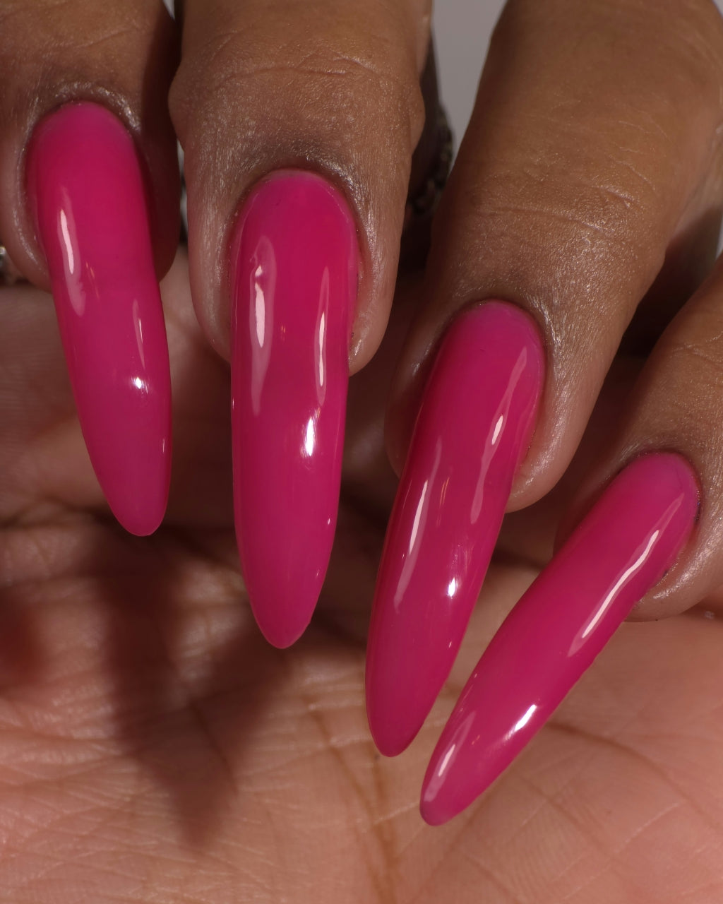 Back To The Fuchsia