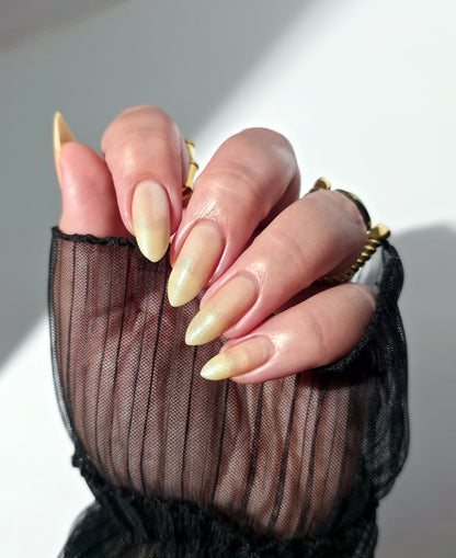 Flukeman LBOH
