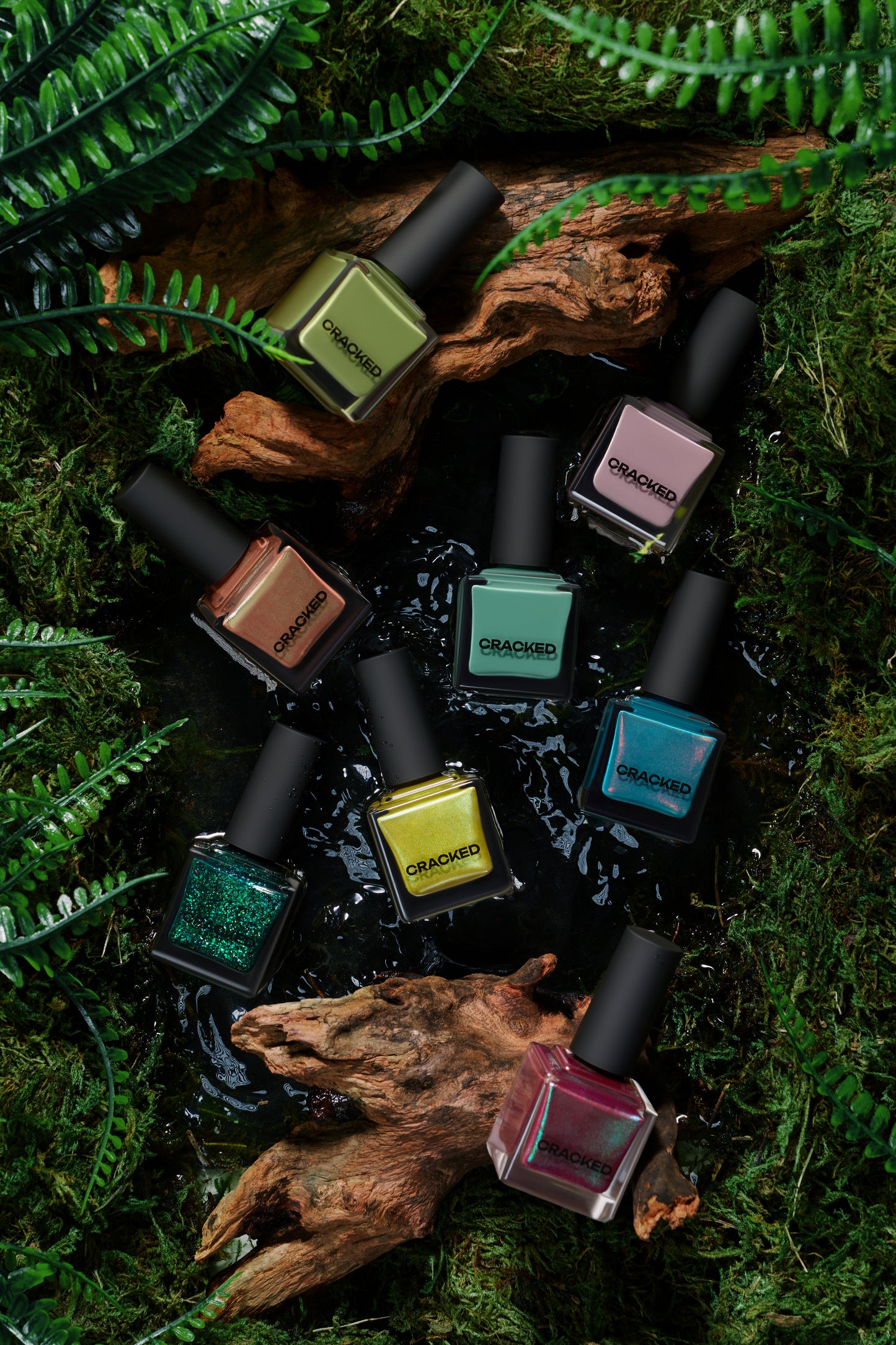 Rainforest