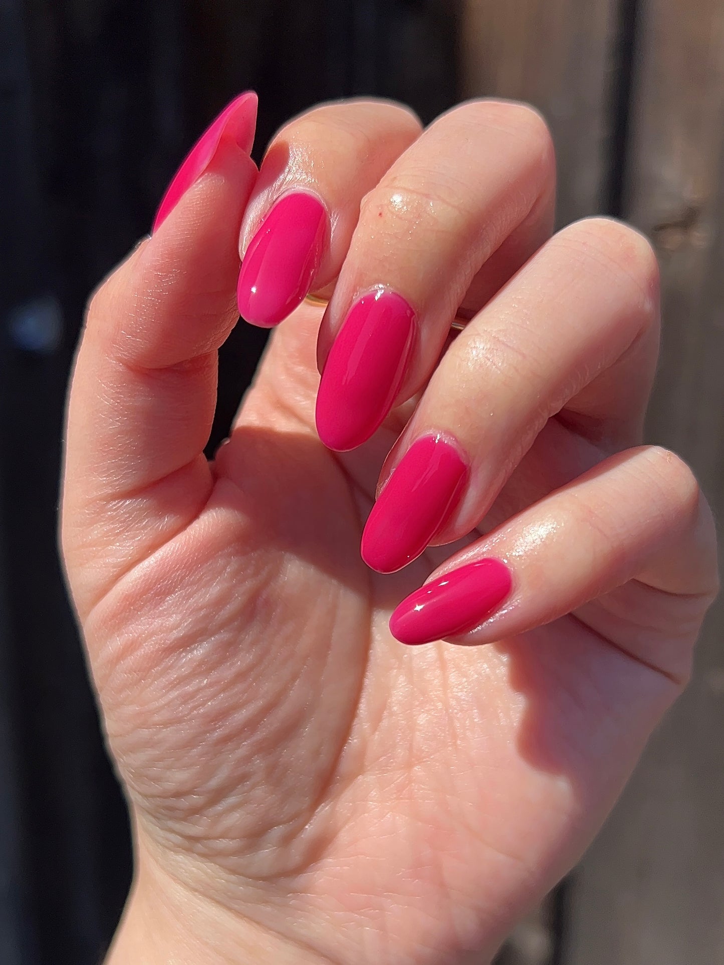 Back To The Fuchsia