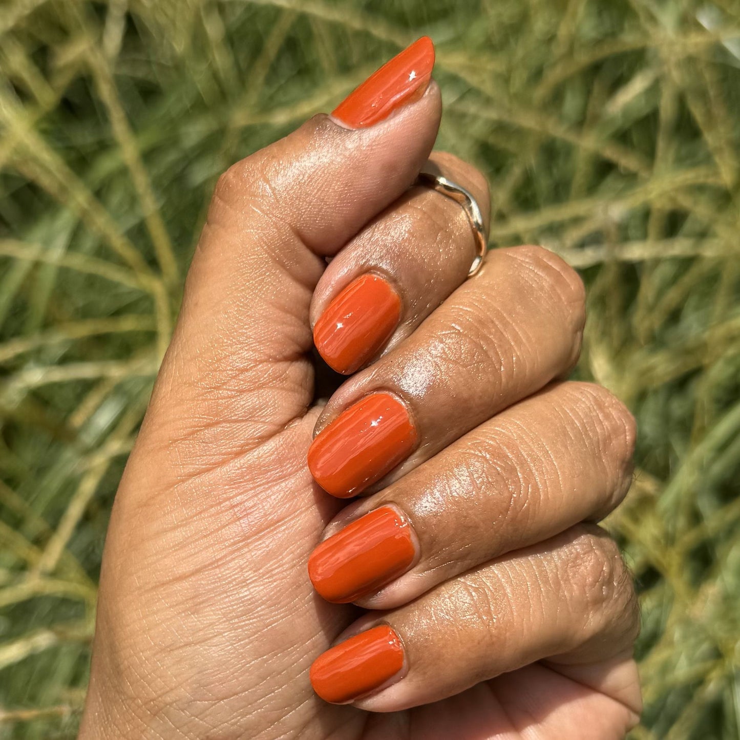 Delicacy in Sardinia