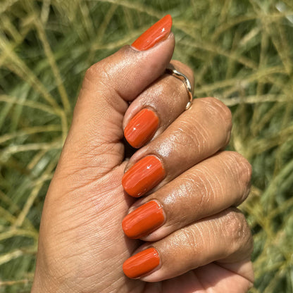 Delicacy in Sardinia