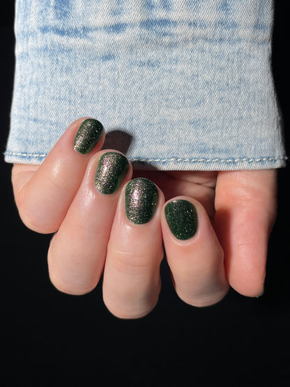 Past, Present, Future LBOH