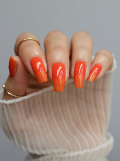 24 Carrots