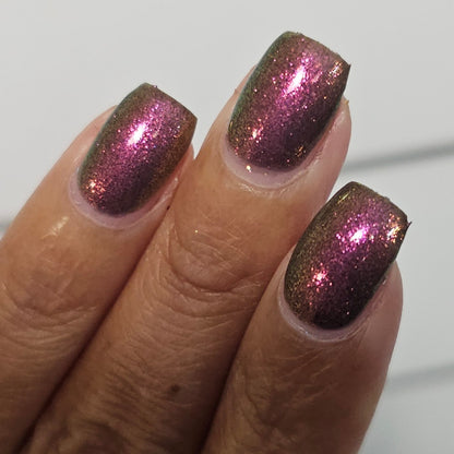 Razzle Dazzled