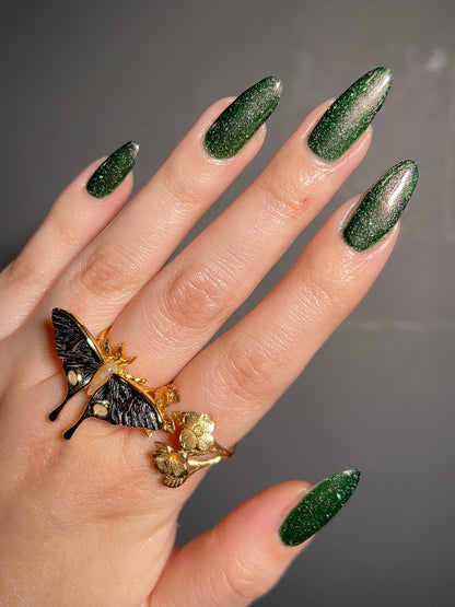 Past, Present, Future LBOH