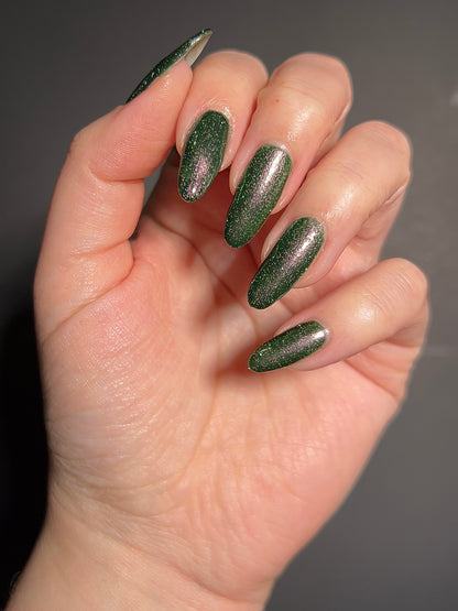 Past, Present, Future LBOH