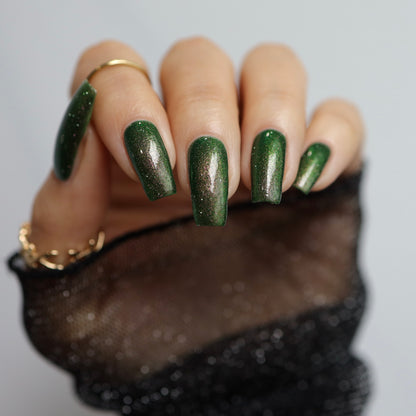 Past, Present, Future LBOH