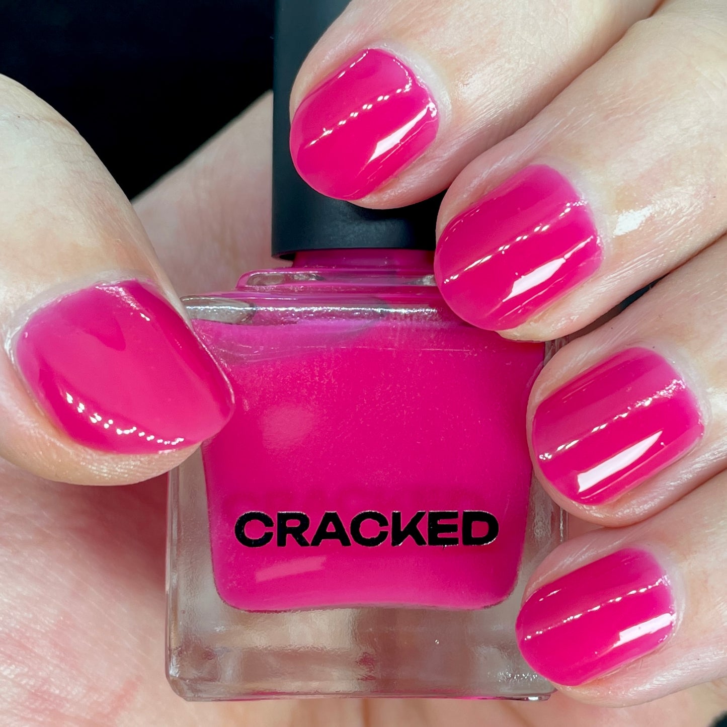 Back To The Fuchsia