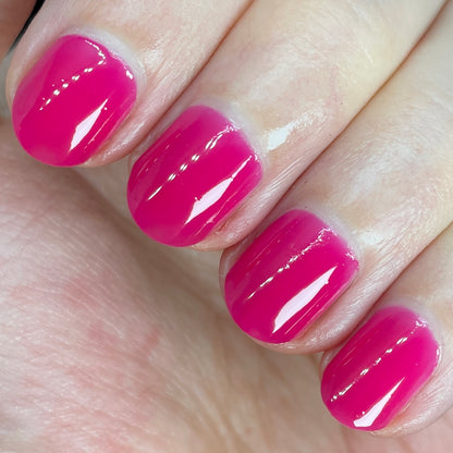 Back To The Fuchsia
