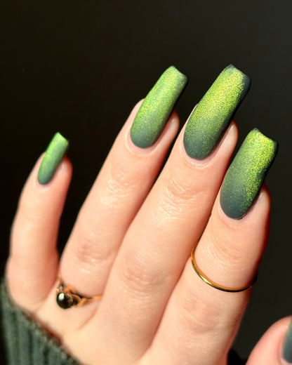 Matte Top Coat