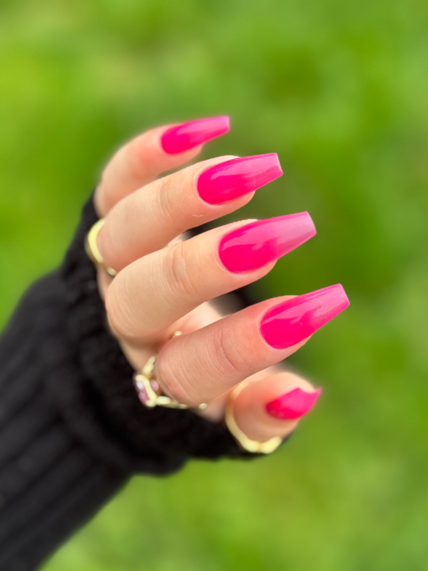Back To The Fuchsia