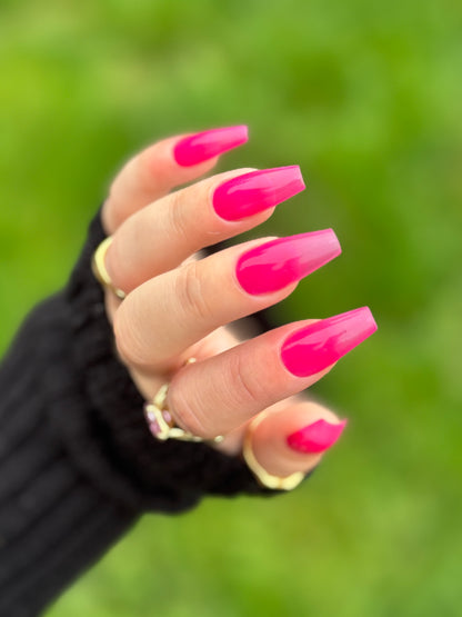 Back To The Fuchsia