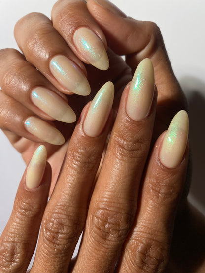 Flukeman LBOH