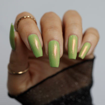 Ex-spearmint