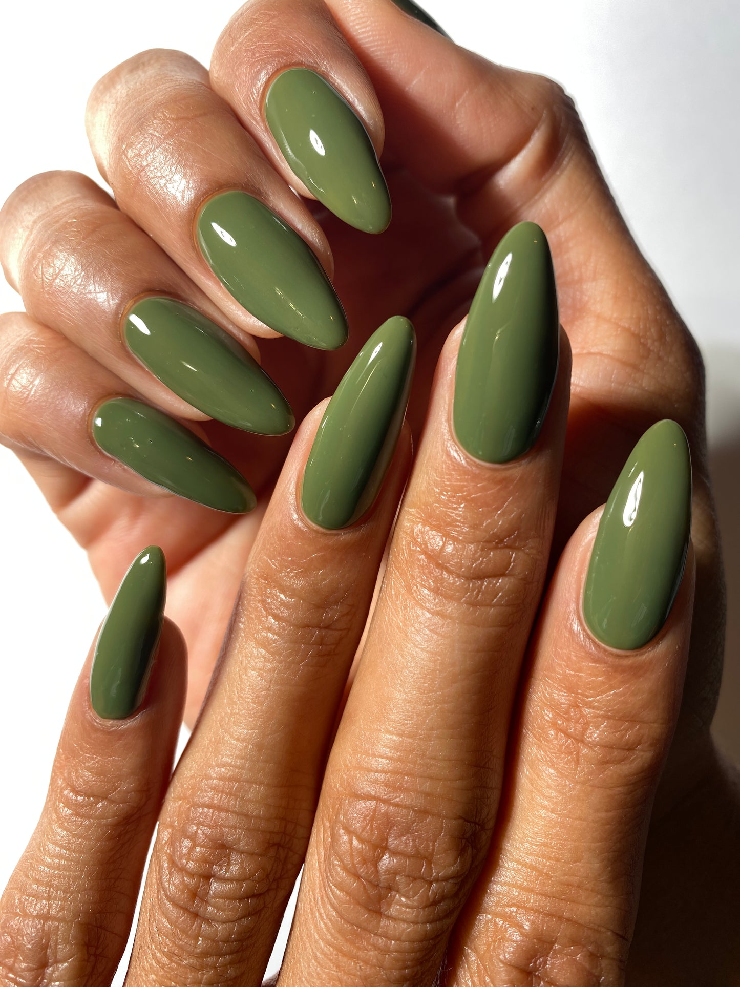 Moss Draped