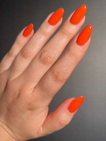 24 Carrots