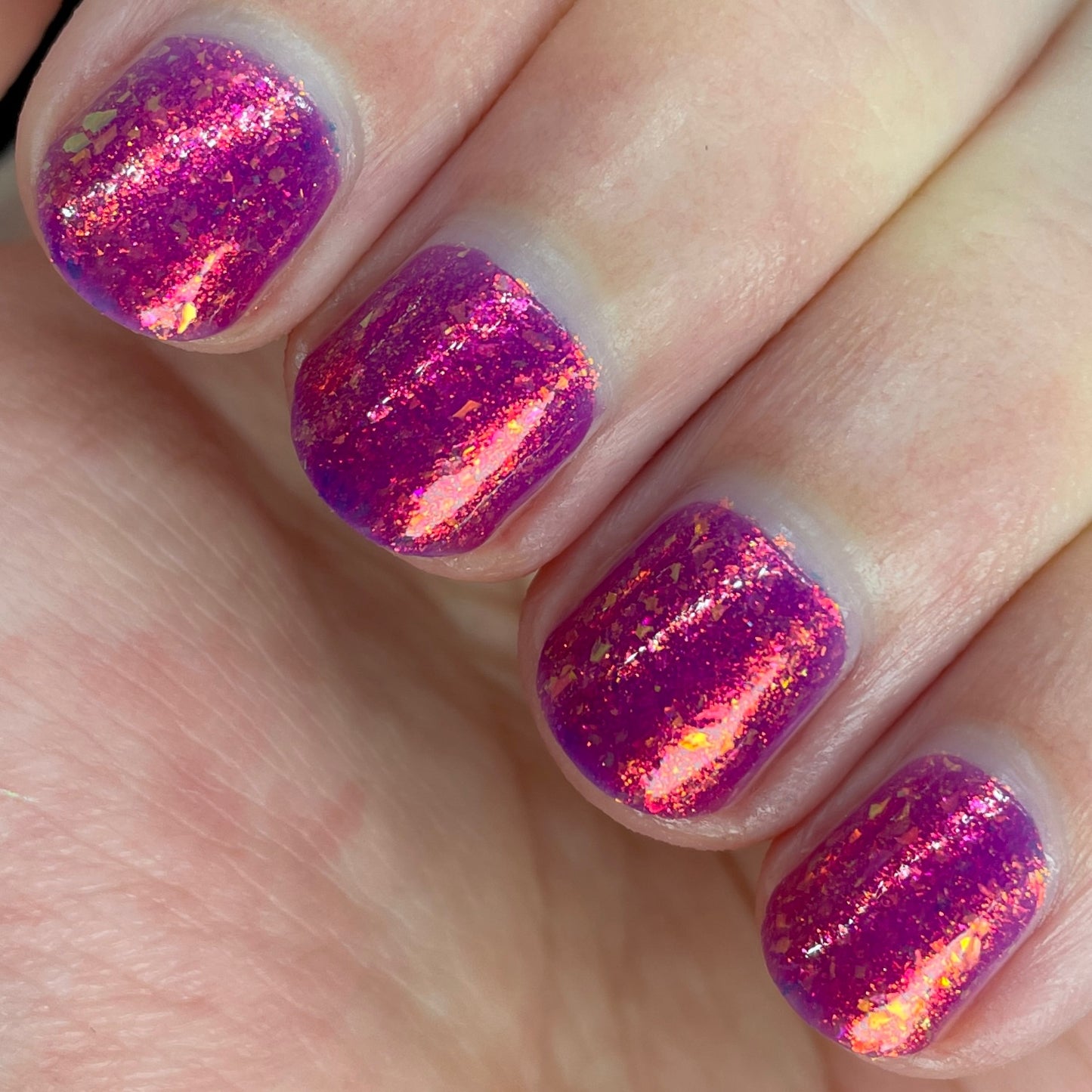 Sunset Vibes