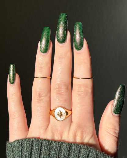 Past, Present, Future LBOH