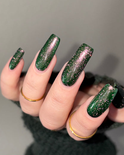 Past, Present, Future LBOH